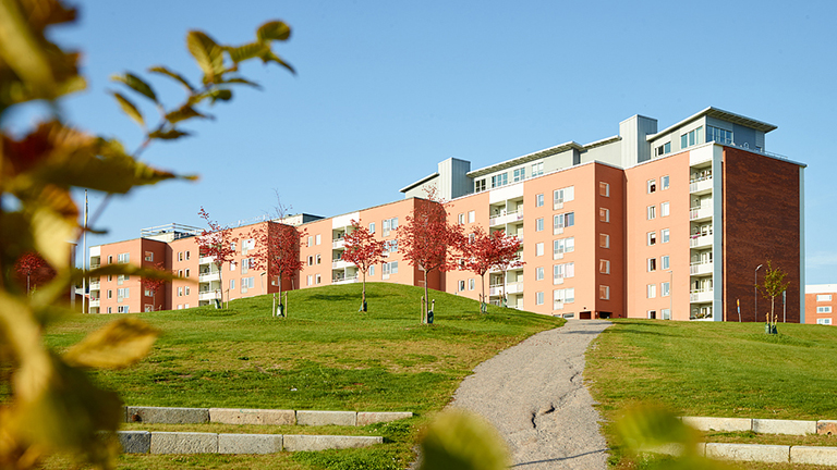 De höga husen i Nacksta ligger omgiven av stora grönområden och nära till skogen. Foto.